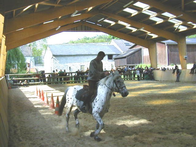 cheval_arc_2_20091008_1974205416