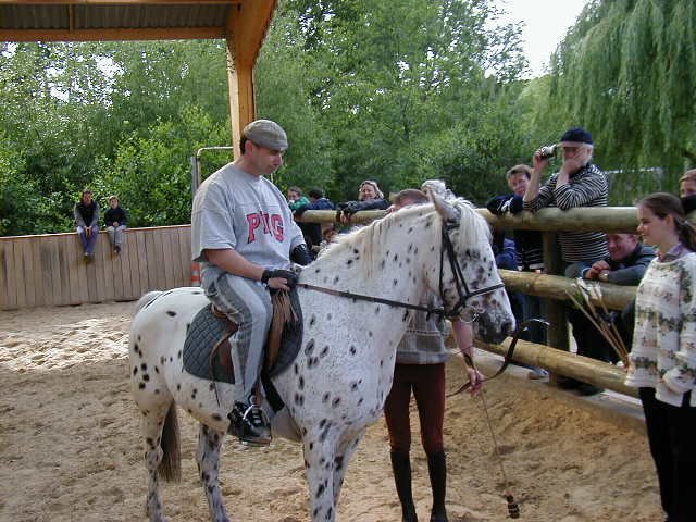 cheval_arc_6_20091008_1106800555