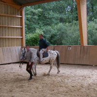 cheval-arc