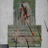 hb_26_20091008_1109202016