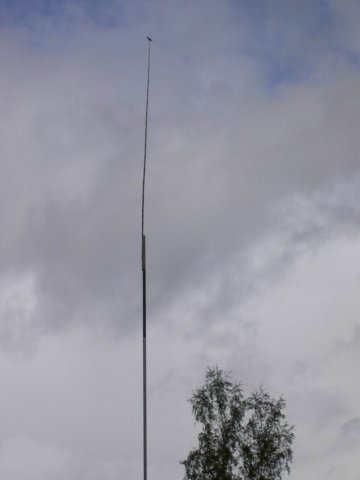 roitelet_14_20091008_1132479823