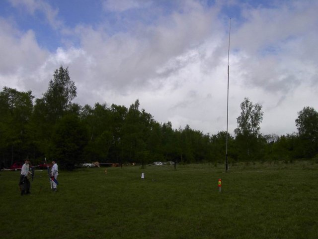 roitelet_7_20091008_1203120525