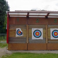 royessonne_5_20091008_1212335605