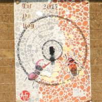 2013-TirDuRoy-05_small