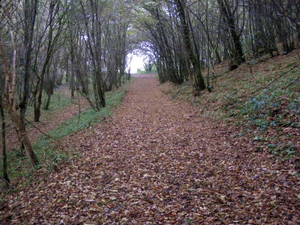 IMGP0023-2048
