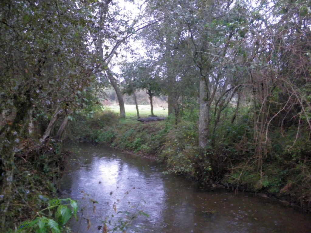 IMGP0048-2048