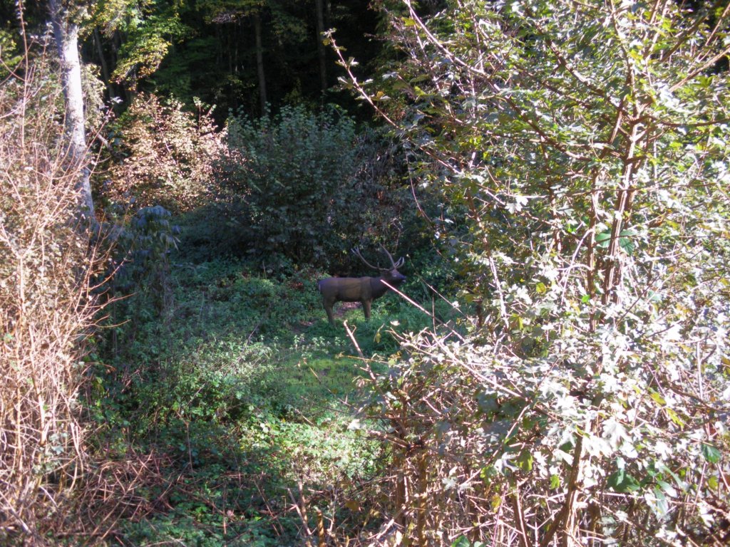 IMGP0076-2048