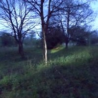 DSC01856-2048